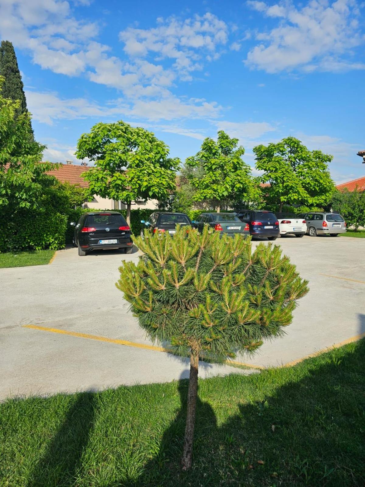 Apartments Aerodrom 波德戈里察 外观 照片